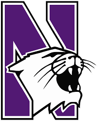 Northwestern Wildcats Fan Gear, Gifts and Home Decor logo
