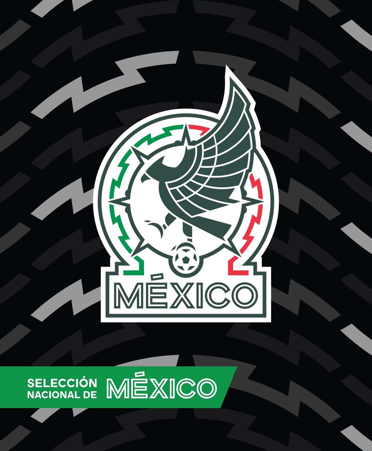 Soccer Mexico (FMF) Twin Size Plush Blanket
